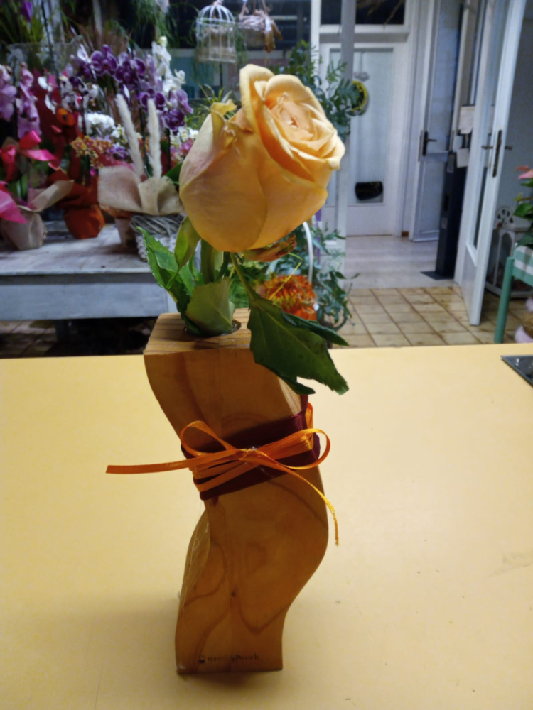 Solitário in vendita presso la Fioreria Bernante