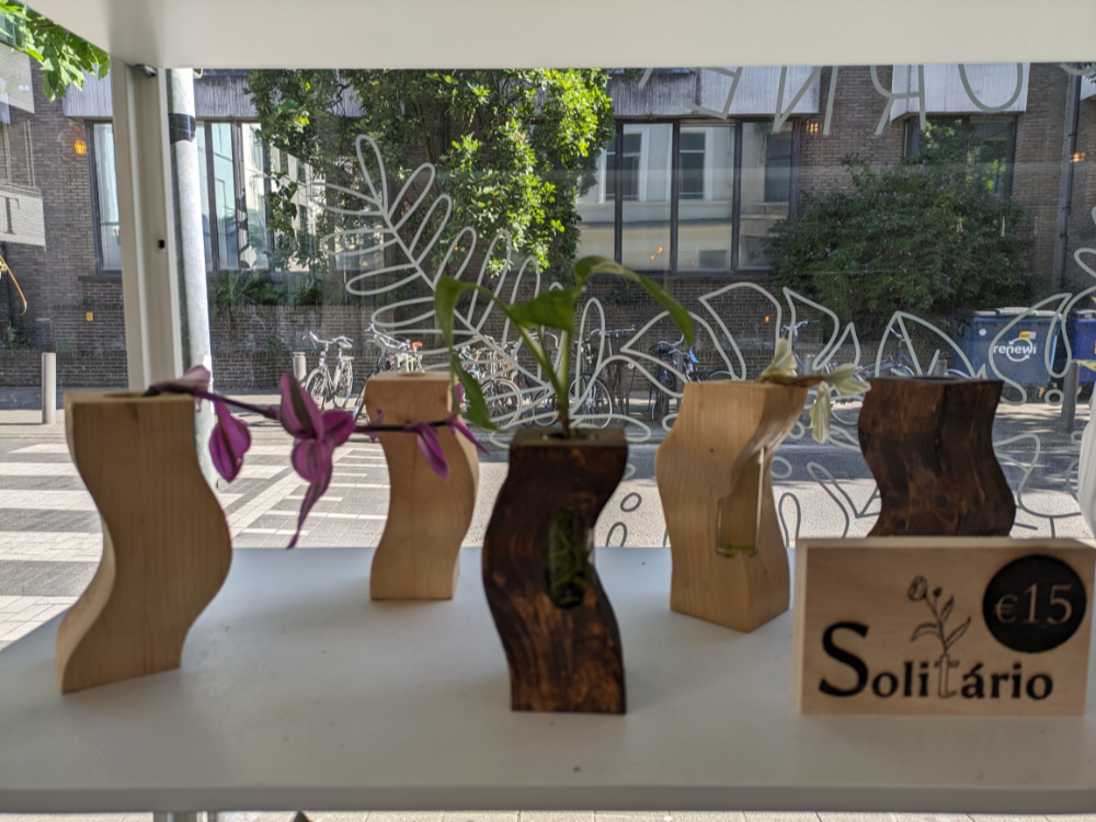 Solitários in vendita presso la the Plant Corner