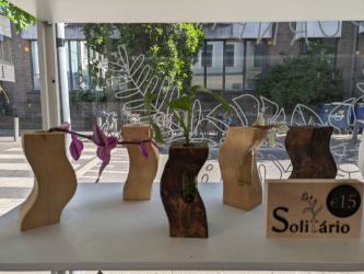Solitários in vendita presso la the Plant Corner