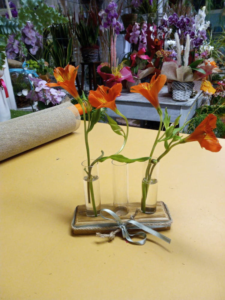 Triplo in mostra presso la Fioreria Bernante