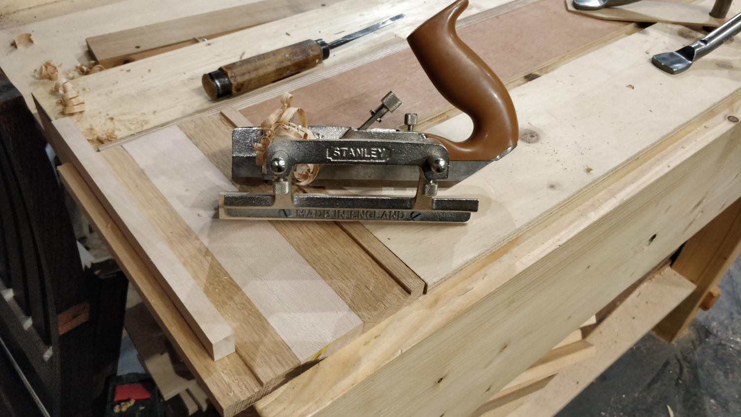 Pialla a solchi Stanley